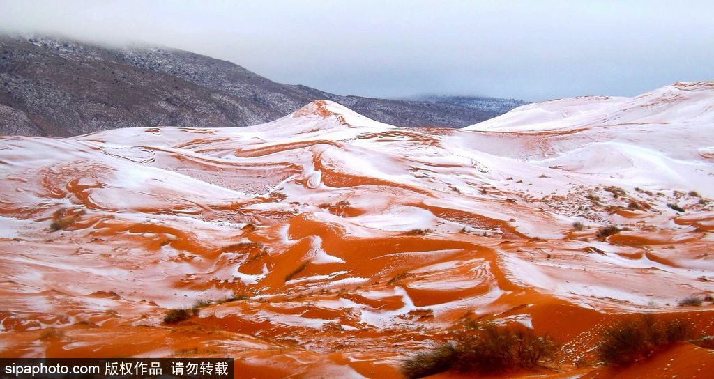 雄關漫道大漠狂風 盤點全球令人窒息的沙漠美景