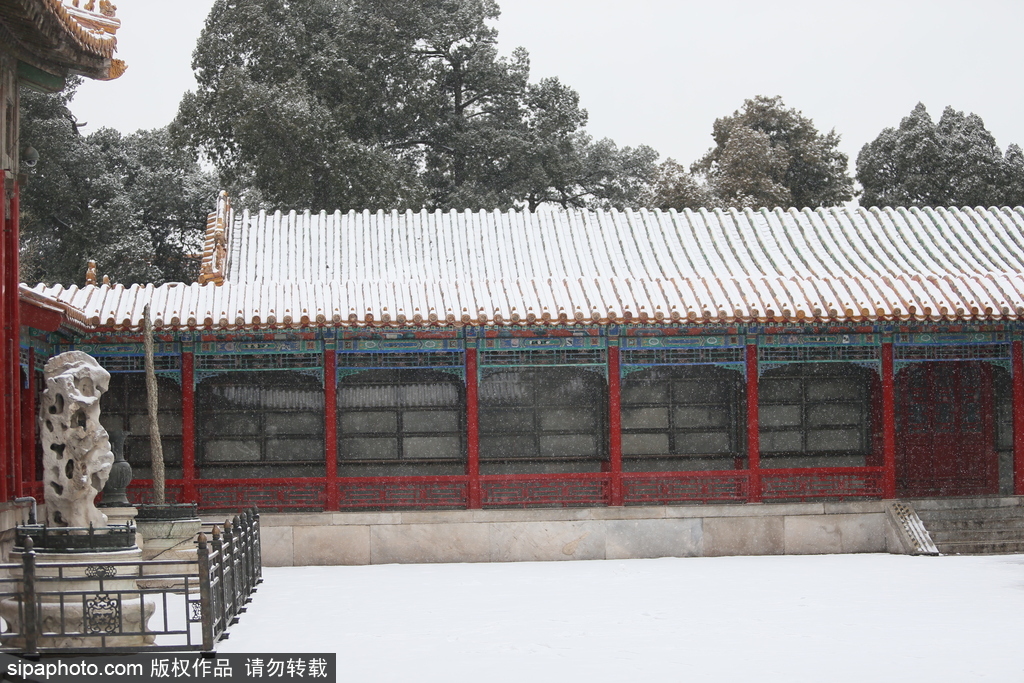 北京“鵝毛大雪”如約而至 故宮雪景美如畫