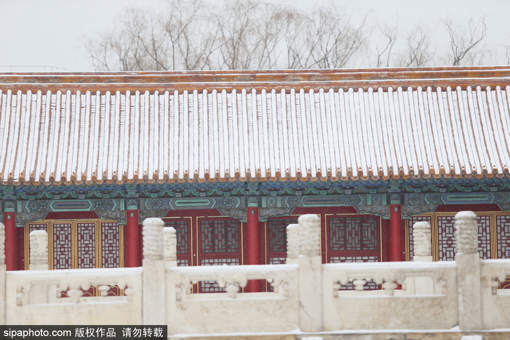 北京“鵝毛大雪”如約而至 故宮雪景美如畫