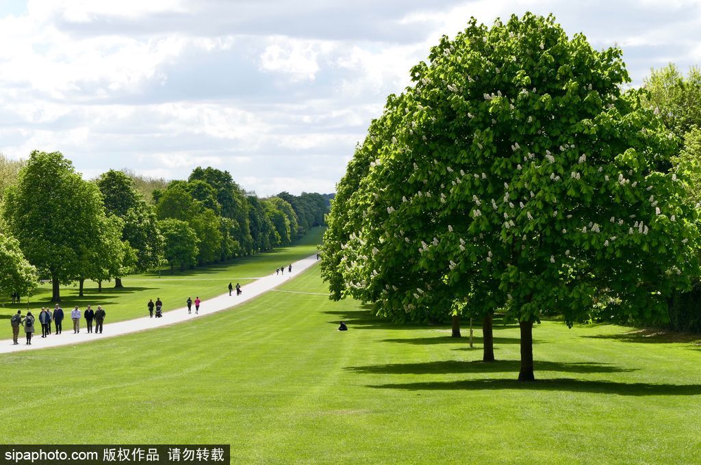 走進如畫英倫莊園 感受午后明媚春光