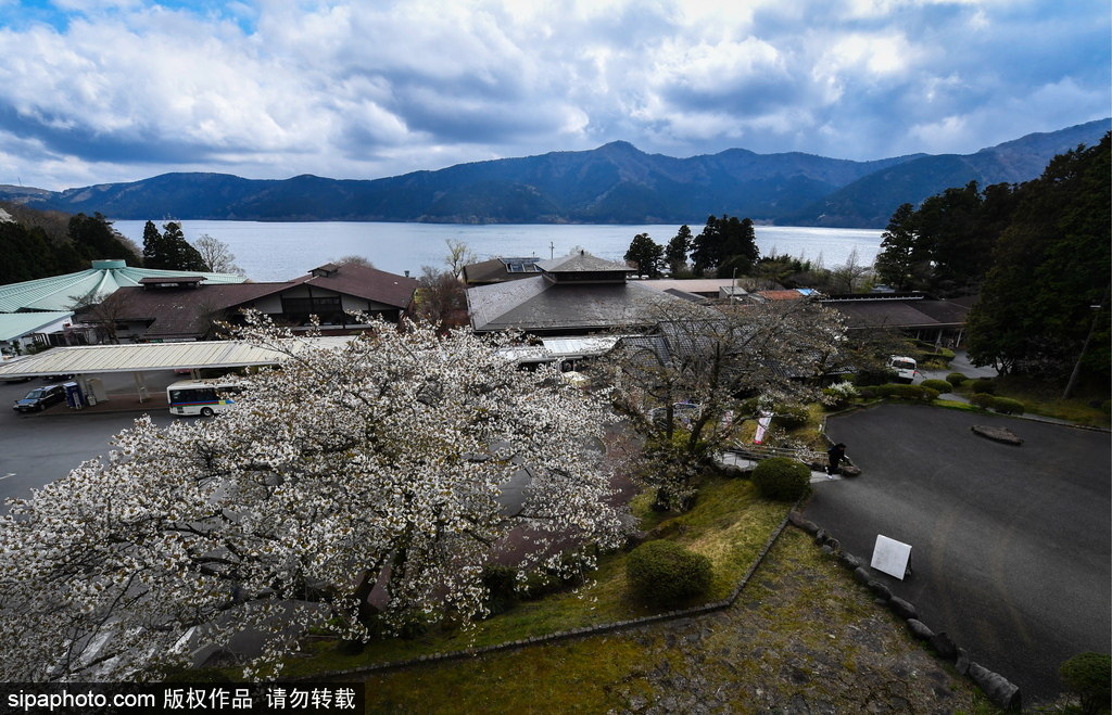 日本富士箱根伊豆國(guó)立公園初夏美景