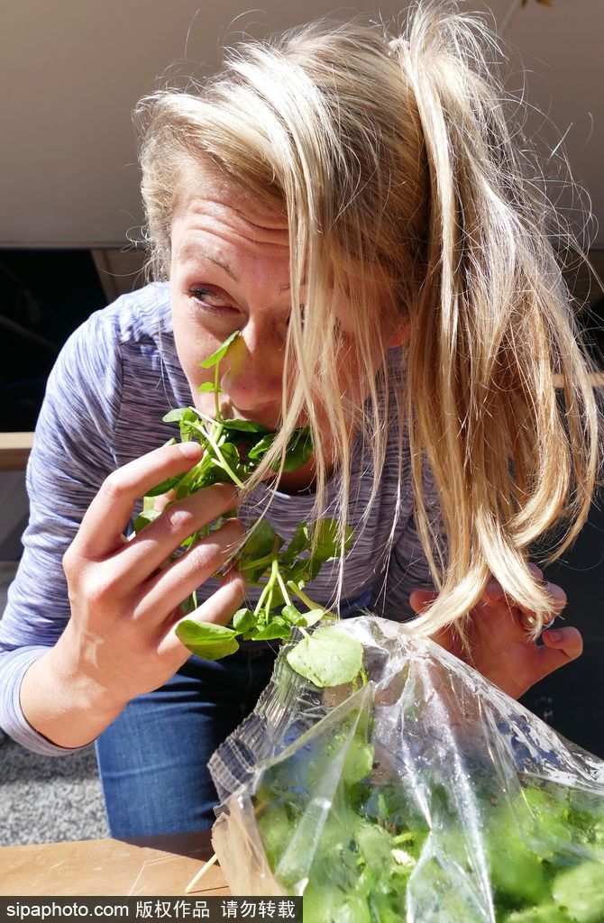 舌尖上的美食？英國吃豆瓣菜大賽眾選手大快朵頤瘋狂塞菜