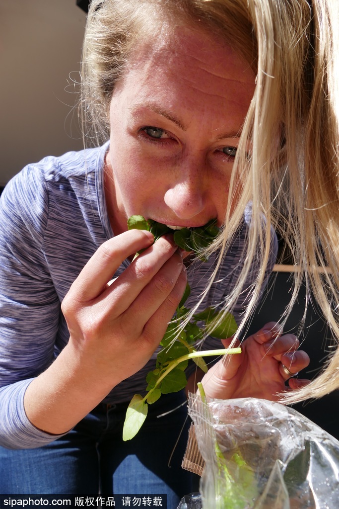 舌尖上的美食？英國吃豆瓣菜大賽眾選手大快朵頤瘋狂塞菜