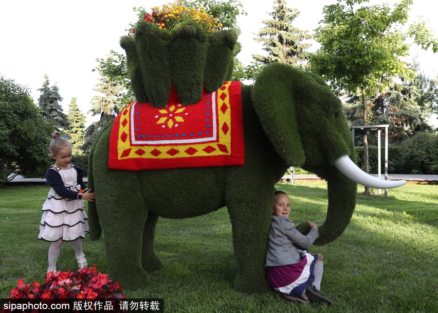 莫斯科舉辦國(guó)際花展節(jié) 精美花雕引民眾駐足