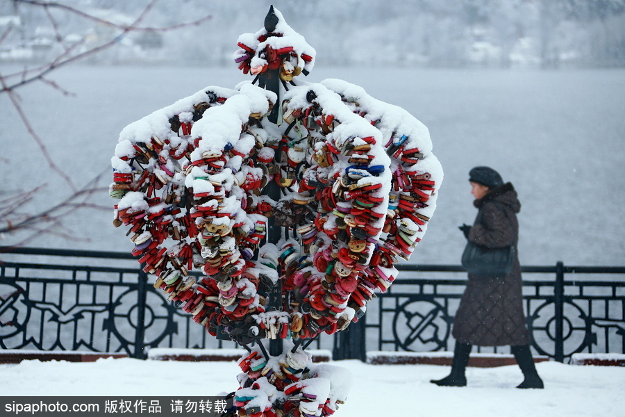 自然合奏曲！俄羅斯伊凡諾沃初冬皚皚白雪干凈純粹