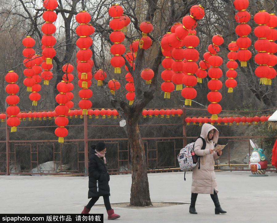 北京圓明園張燈結彩 紅火喜慶迎狗年春節