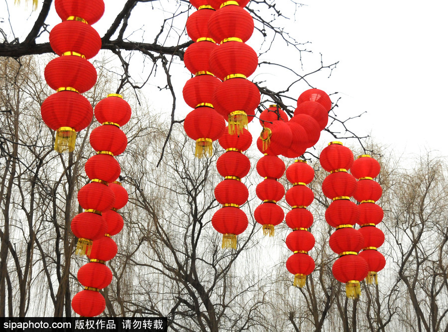 北京圓明園張燈結(jié)彩 紅火喜慶迎狗年春節(jié)