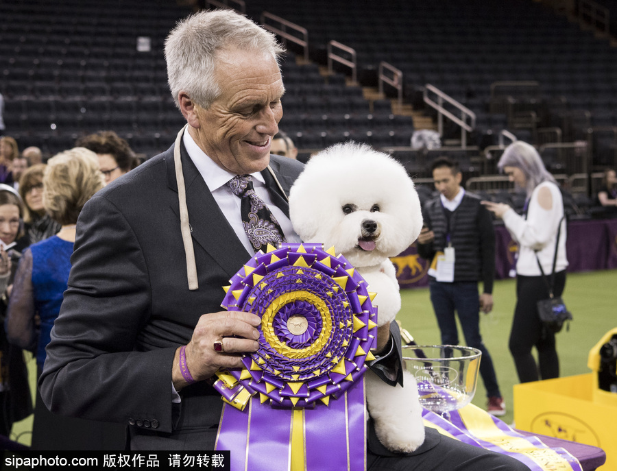 威斯敏斯特142屆狗展開幕 萌犬與主人互動樂趣十足