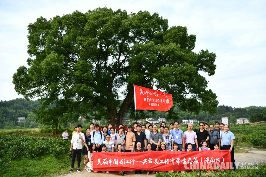 【美麗中國長江行】“美麗中國長江行——共舞長江經濟帶•生態篇”網絡主題活動湖南站媒體團走進常德桃源夷望溪景區