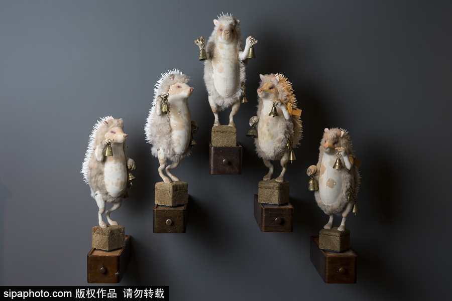 英國藝術(shù)家制作布藝動物 妙手匠心栩栩如生